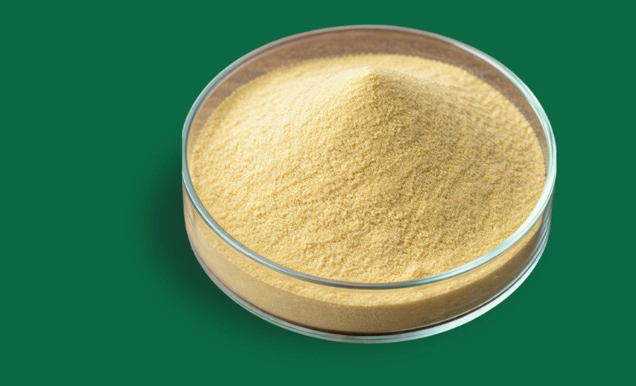 Propolis Soluble in Powder